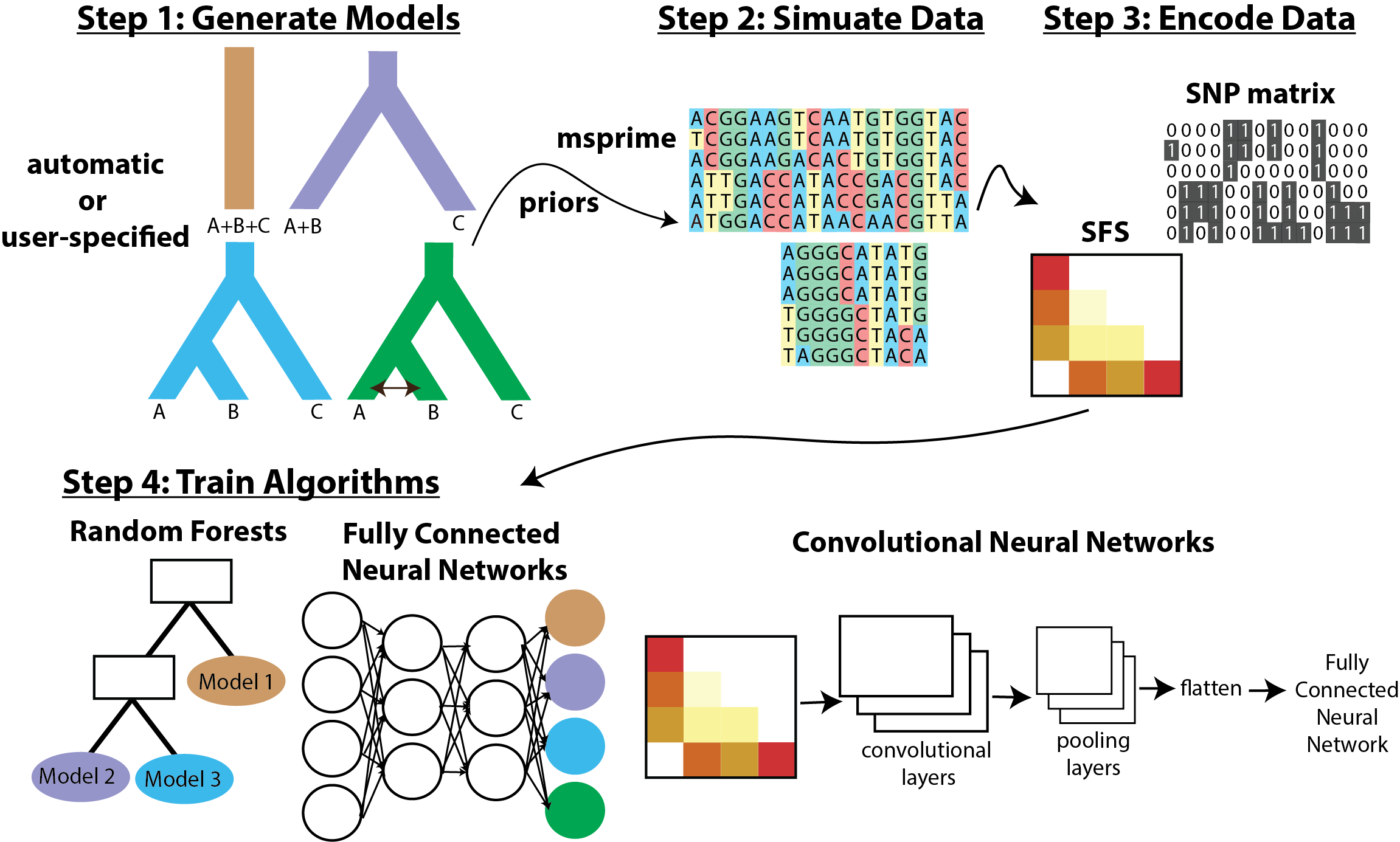 Workflow for the popai software.